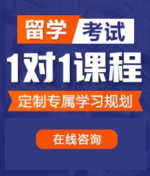 鸡巴猛插骚逼视频网页留学考试一对一精品课